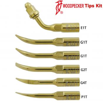 5Pz Woodpecker Inserti piezo /punte per ablatore ultrasuoni G1T G2T G4T P1T E1T compatibile Satelec / NSK