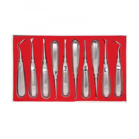Leva dentista (elevatore odontoiatrico) 10 pz kit