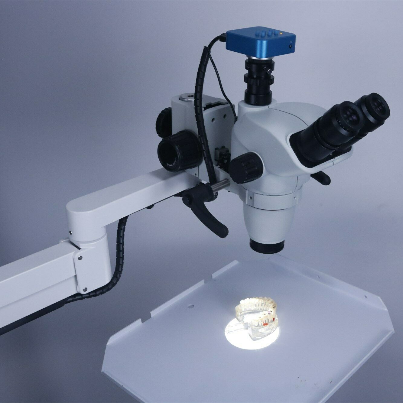 Microscopio operatorio per terapia canalare dentale con fotocamera e 5w lampada led