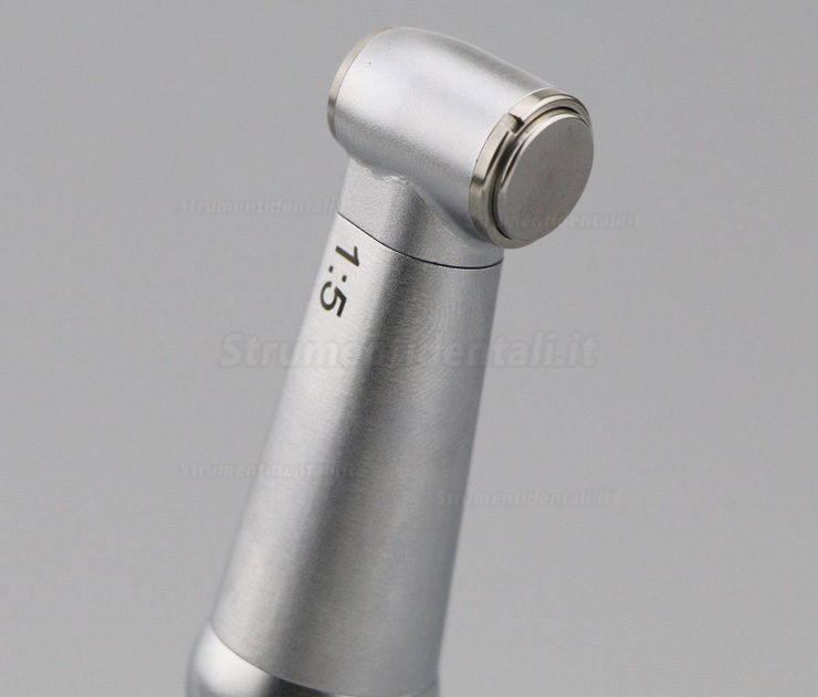 Being® Rose 202CAI5 Contrangolo anello rosso moltiplicatore 1:5