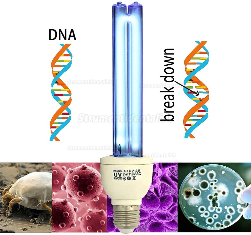 25W Quarzo UVC + Ozono Germicida Lampada a Luce Ultravioletta E27/E26 110v Pulisce l'Aria 25W Quarzo UVC + Ozono Germicida Lampada a Luce Ultravioletta E27/E26 110v Pulisce l'Aria