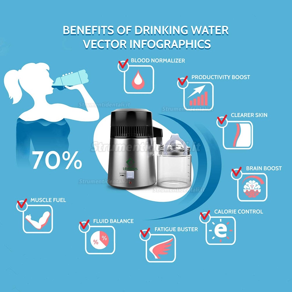 Distillatore d'Acqua distillatore Acqua con Bottiglia di Raccolta in Vetro da 4L Distillatore d'Acqua distillatore Acqua con Bottiglia di Raccolta in Vetro da 4L