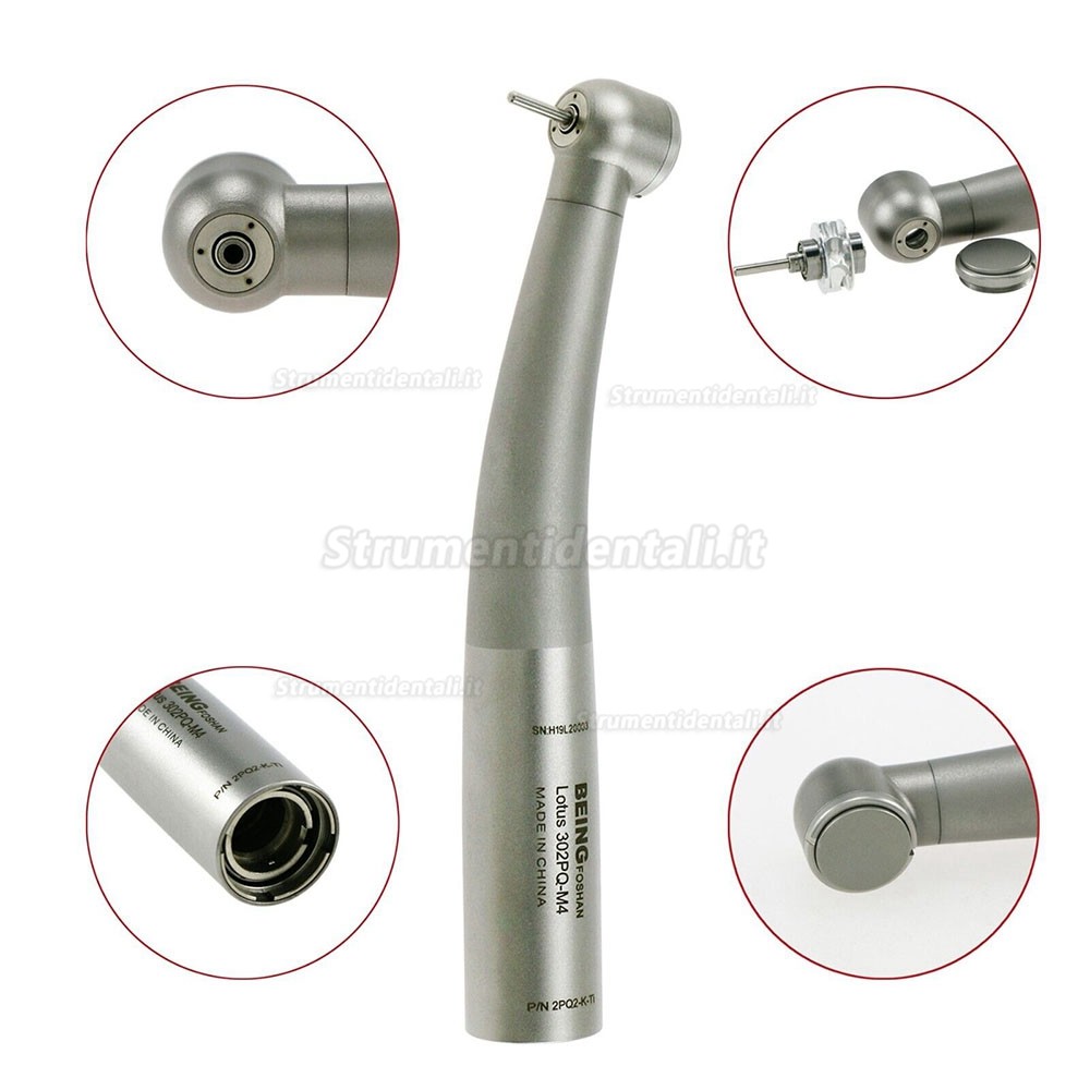 BEING 302PQ-K-Ti Manipolo per turbina dentale (testa di coppia grande) adatto KAVO Multiflex Lux BEING 302PQ-K-Ti Manipolo per turbina dentale (testa di coppia grande) adatto KAVO Multiflex Lux
