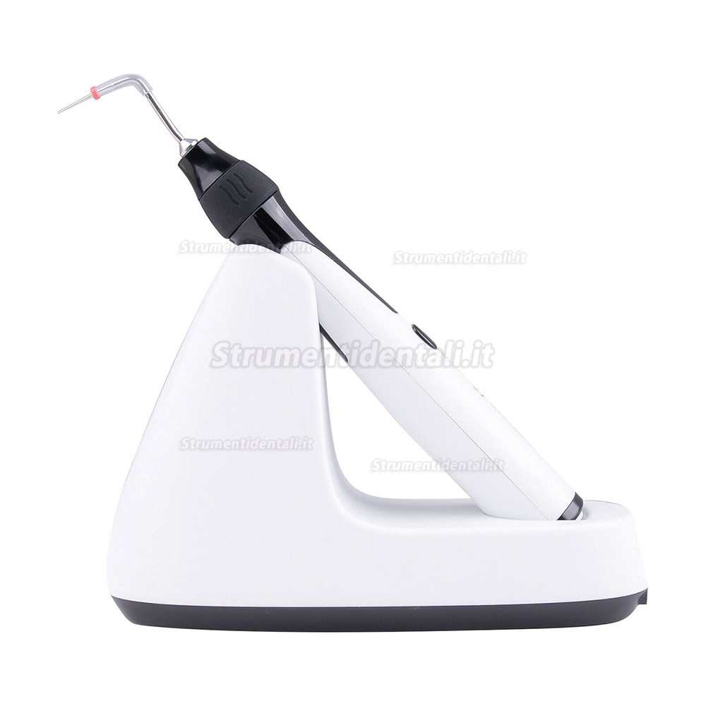 Sistema di otturazione gutta-percha CICADA DT-Fill (Penna per otturazione + Pistola per otturazione) Sistema di otturazione gutta-percha CICADA DT-Fill (Penna per otturazione + Pistola per otturazione)