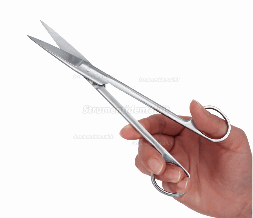 14 cm / 16 cm / 18 cm forbici chirurgiche scissors forceps per la clinica odontoiatrica (acciaio inossidabile)