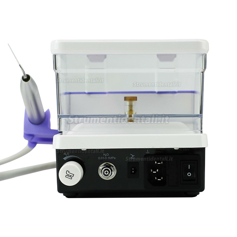 Woodpecker DTE D600 Ablatore ad ultrasuoni led dentale (SATELEC Compatibile)