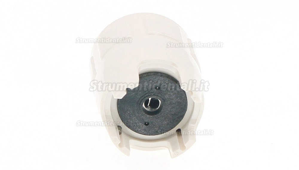 2 Pezzi chiave dinamometrica per scaler ad ultrasuoni Woodpecker DTE TD-1L per DTE SATELEC 2 Pezzi chiave dinamometrica per scaler ad ultrasuoni Woodpecker DTE TD-1L per DTE SATELEC
