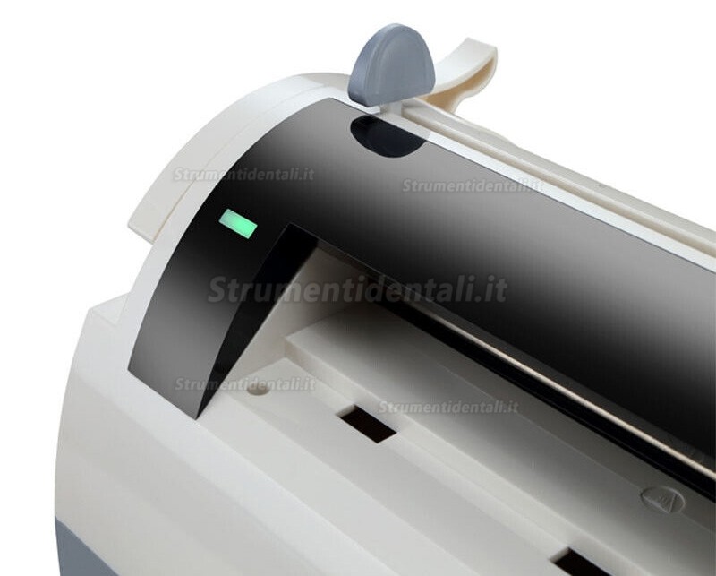 Termosigillatrice per sacchetti di sterilizzazione da 300 mm, Sigillatrice a temperatura costante