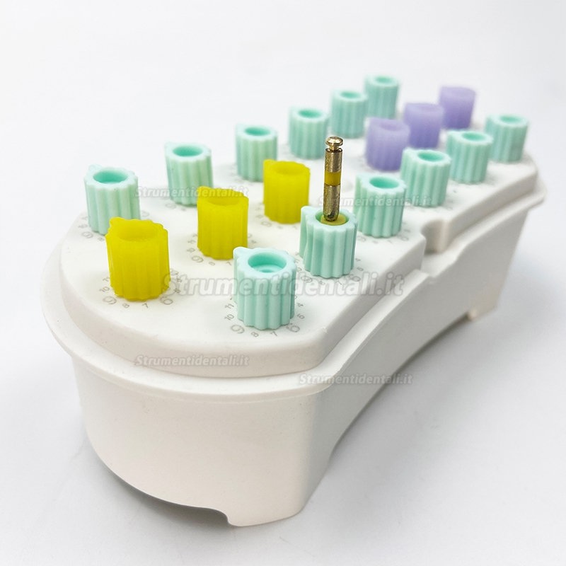 Scatola per sterilizzazione strumenti endodontici con conteggio