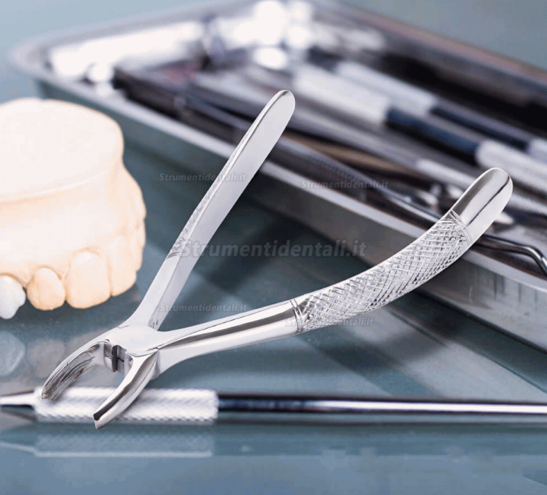 10 Pz/kit Pinze estrazione denti (pinze per estrazione denti per adulti)