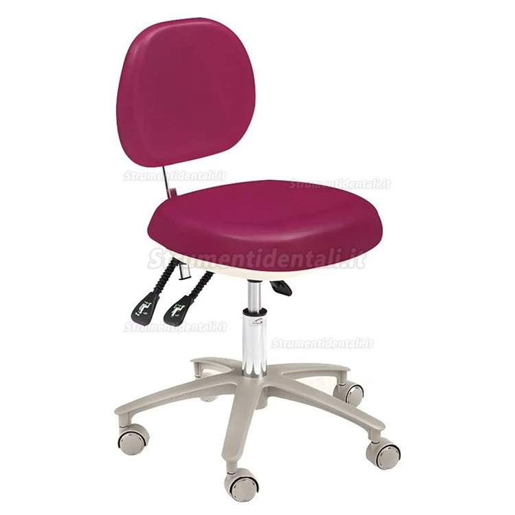 HS-6-R Sgabello dentistico regolabile con schienale, Dentista assistente sedia