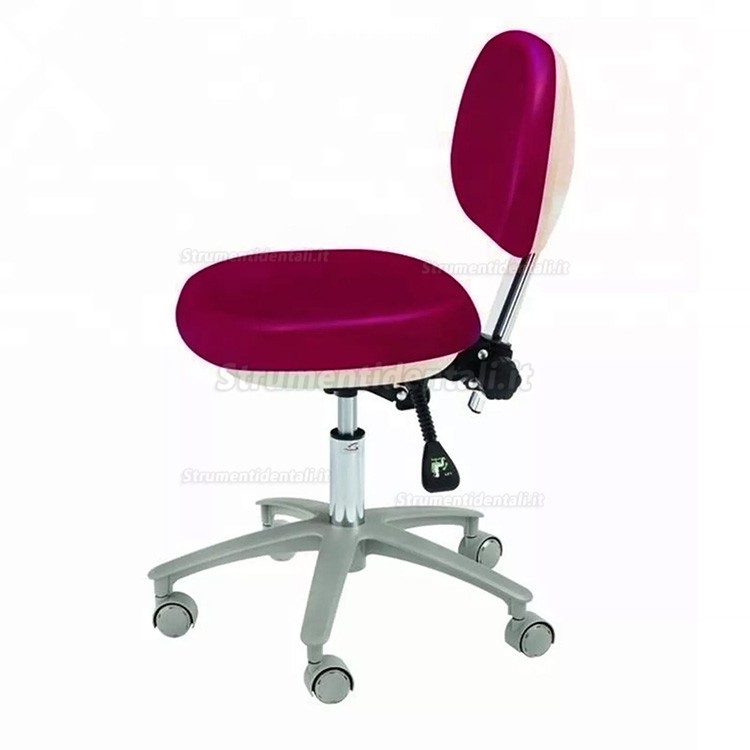 HS-6-R Sgabello dentistico regolabile con schienale, Dentista assistente sedia