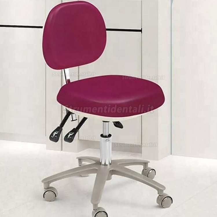 HS-6-R Sgabello dentistico regolabile con schienale, Dentista assistente sedia