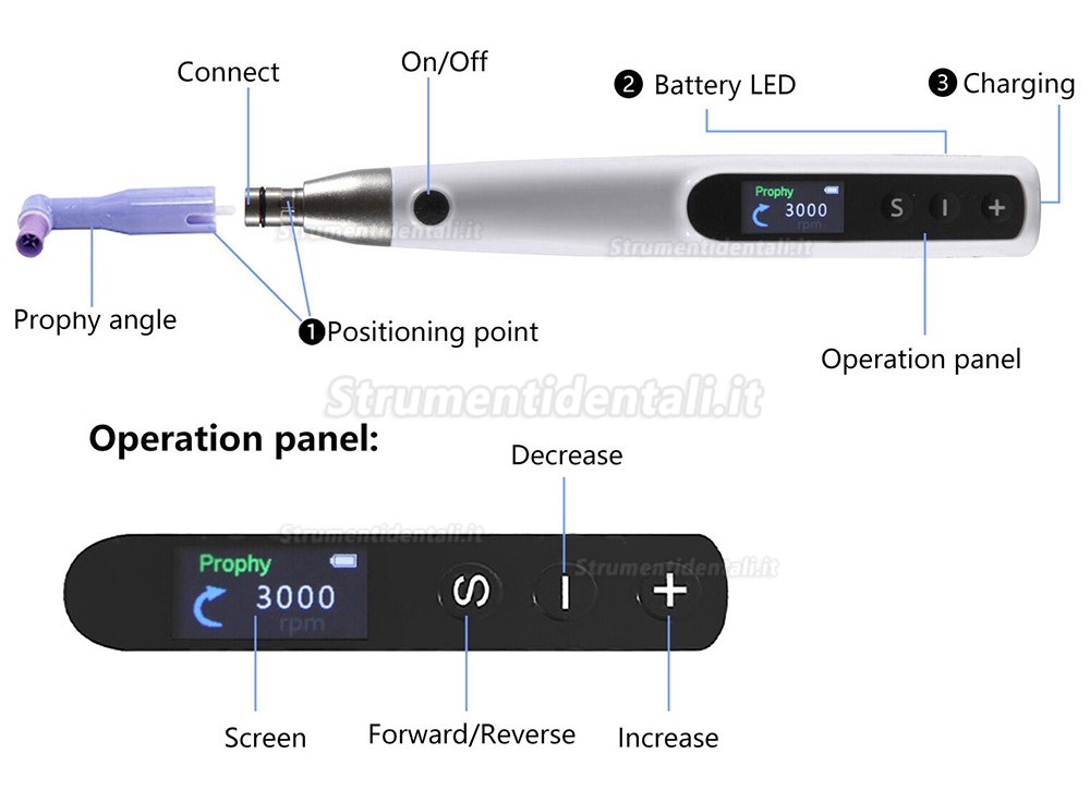 Manipolo per profilassi elettrica dentale Girevole a 360° + 2 angoli per profilassi Manipolo per profilassi elettrica dentale Girevole a 360° + 2 angoli per profilassi