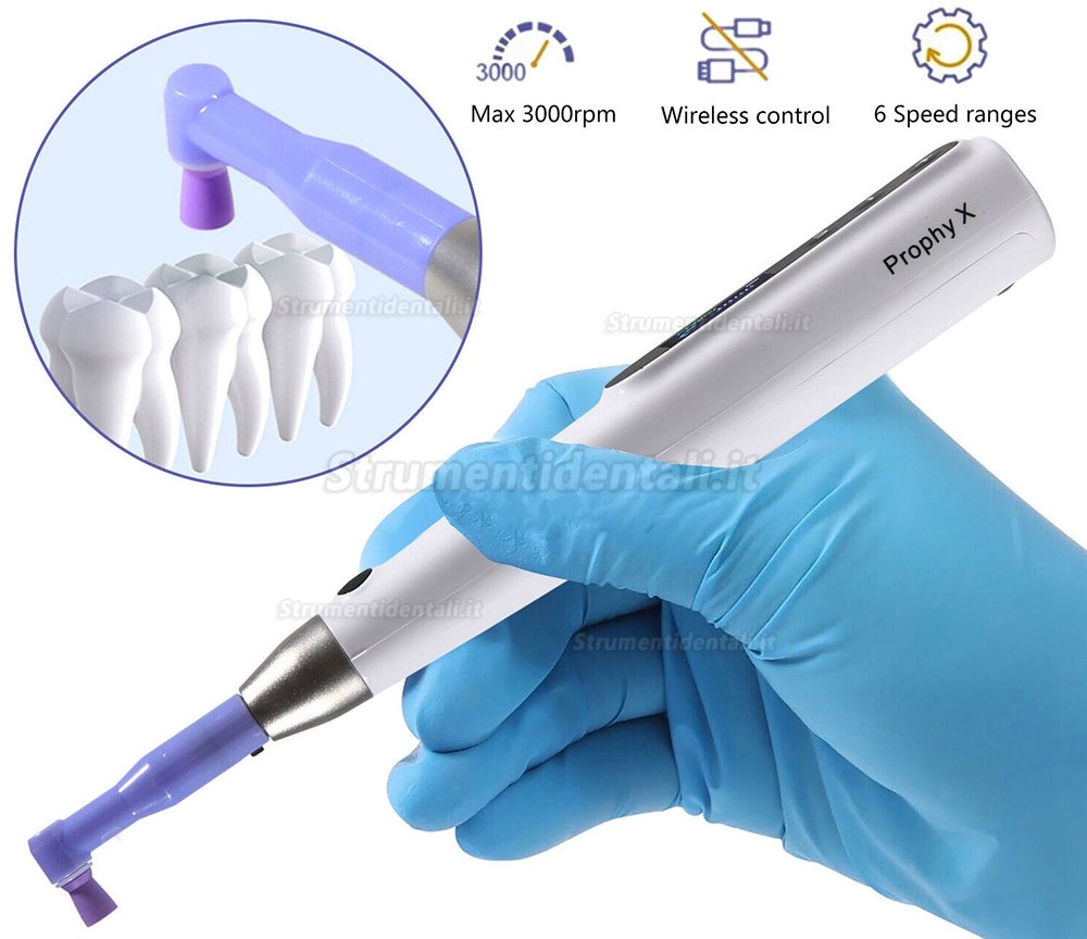 Manipolo per profilassi elettrica dentale Girevole a 360° + 2 angoli per profilassi Manipolo per profilassi elettrica dentale Girevole a 360° + 2 angoli per profilassi