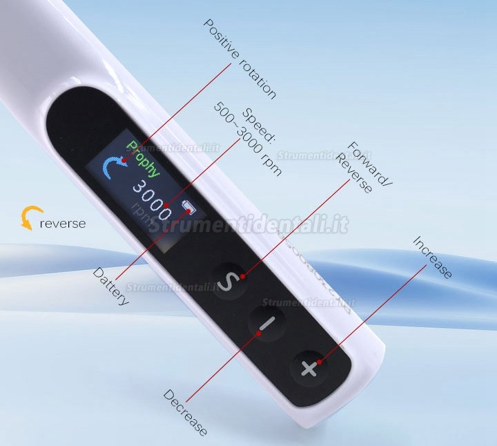 Manipolo per profilassi elettrica dentale Girevole a 360° + 2 angoli per profilassi Manipolo per profilassi elettrica dentale Girevole a 360° + 2 angoli per profilassi