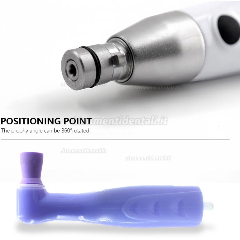 Manipolo per profilassi elettrica dentale Girevole a 360° + 2 angoli per profilassi Manipolo per profilassi elettrica dentale Girevole a 360° + 2 angoli per profilassi