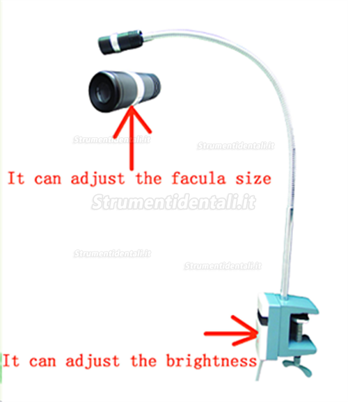 Micare® JD1200J Lampade diagnostiche mediche Micare® JD1200J Lampade diagnostiche mediche