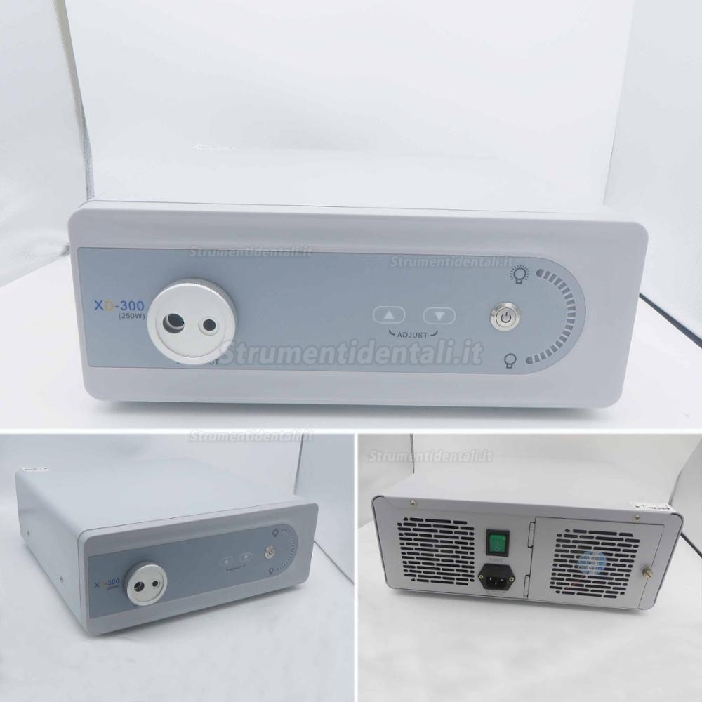 KWS XD-300-250W (2015) Sorgente di Luce Allo Xeno da 250W KWS XD-300-250W (2015) Sorgente di Luce Allo Xeno da 250W