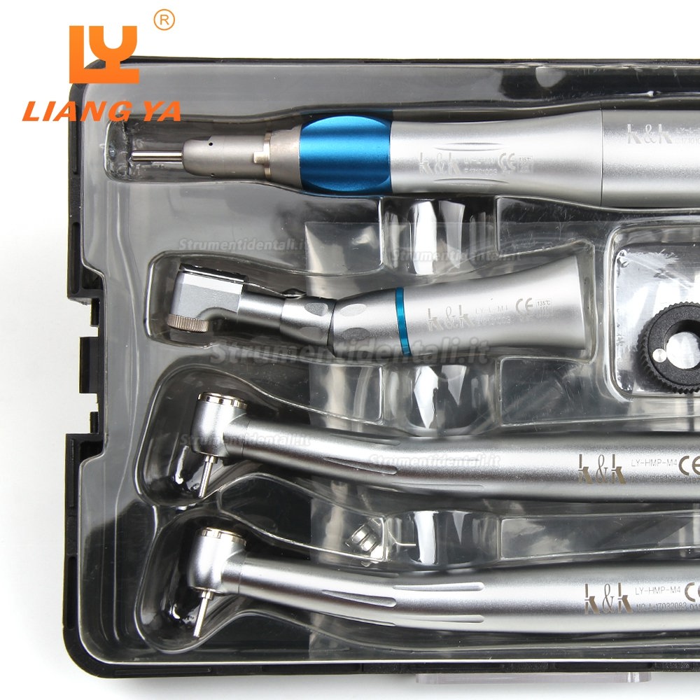 LY LY-L201 Manipolo a Turbina Dentale + Kit Di Manipolo a Bassa Velocità