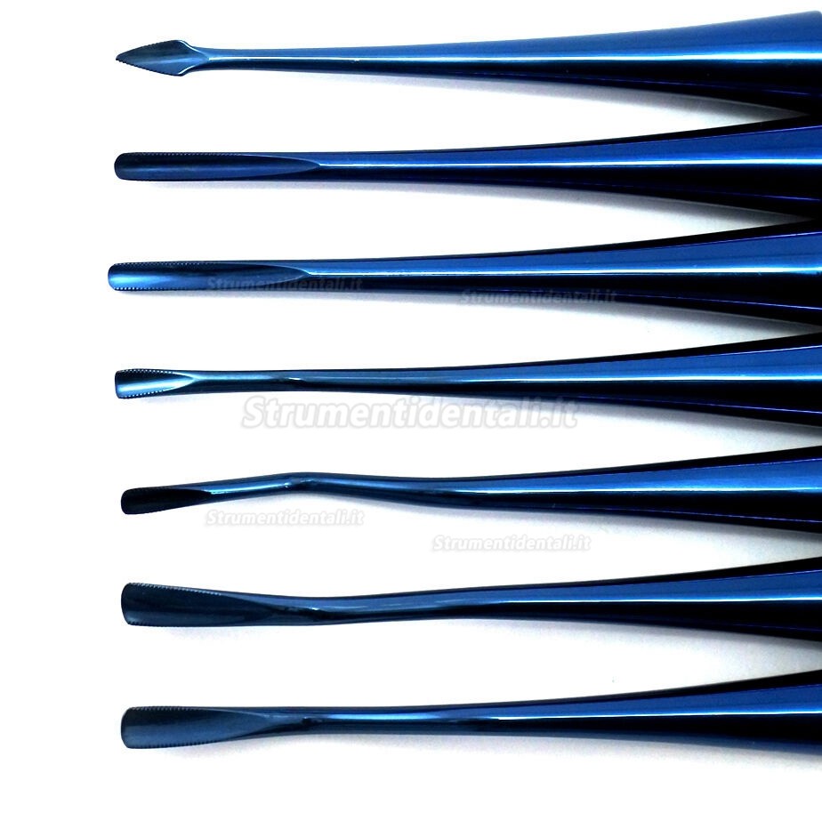 7 Pz/set Leva dentista (pdl elevatore odontoiatrico)