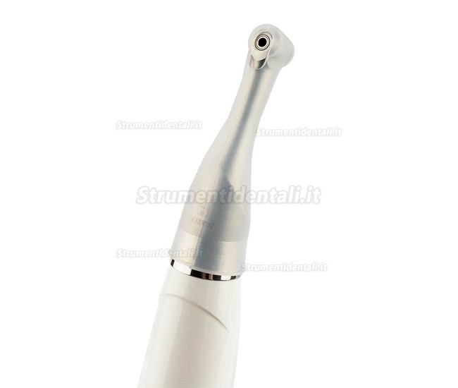 Motore endodontico RebornEndo R Smart Plus+ con localizzatore apicale Motore endodontico RebornEndo R Smart Plus+ con localizzatore apicale