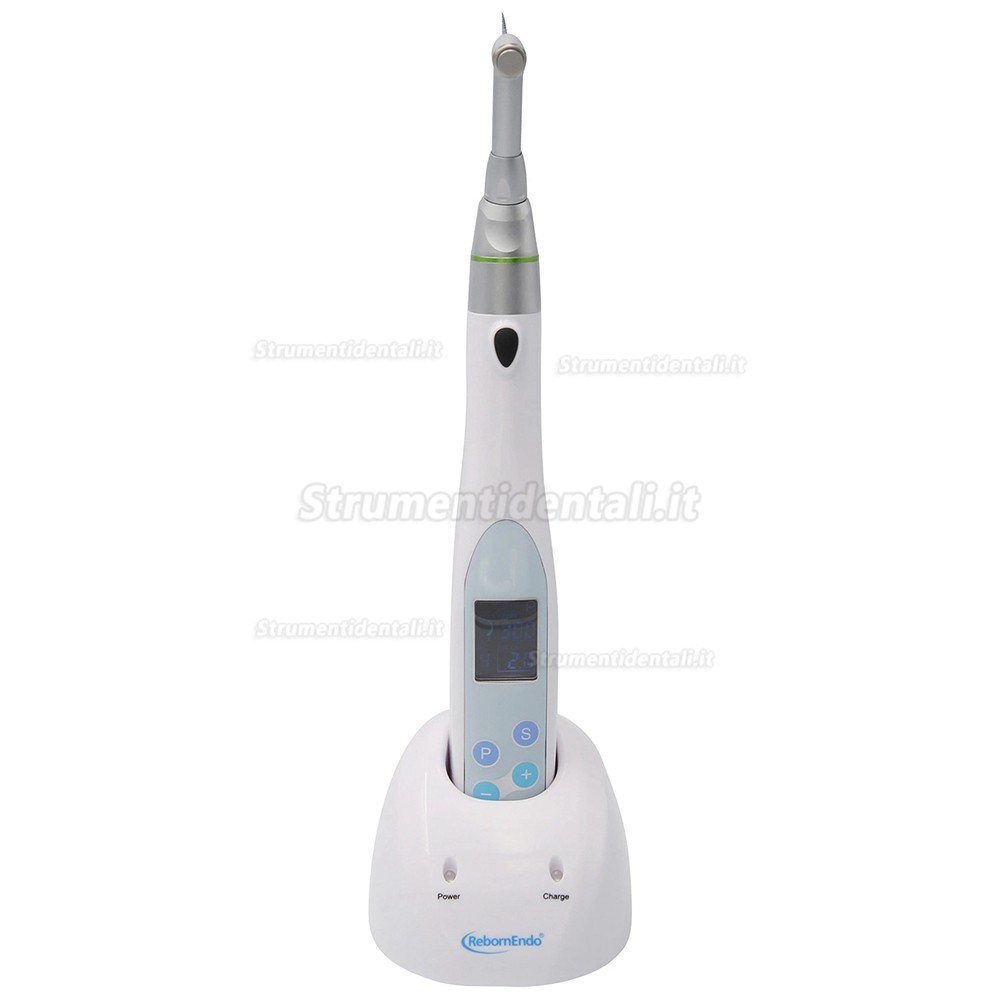 RebornEndo R-Smart Mini manipolo endodontico micromotore endodontico RebornEndo R-Smart Mini manipolo endodontico micromotore endodontico