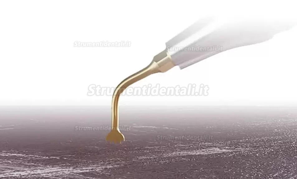 Attrezzature per la chirurgia piezoelettrica odontoiatria Refine MaxSurgery Attrezzature per la chirurgia piezoelettrica odontoiatria Refine MaxSurgery