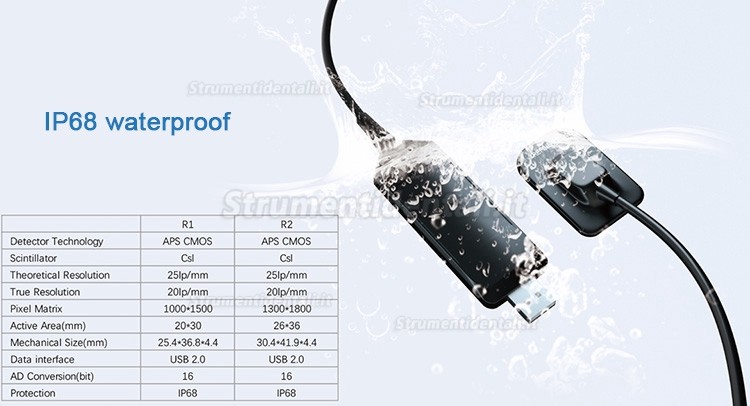 Refine R1/R2 sensori dentale sensori intraorali digitali portatili USB