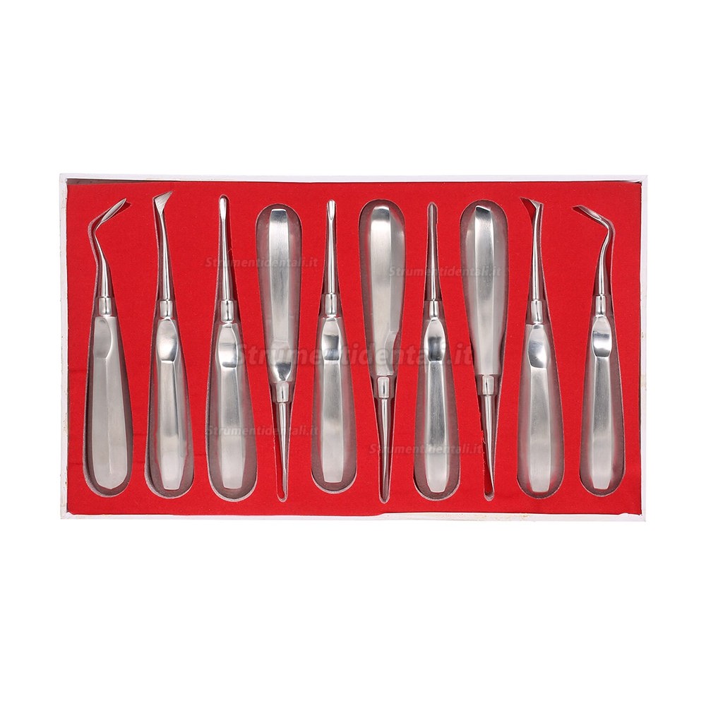 Leva dentista (elevatore odontoiatrico) 10 pz kit