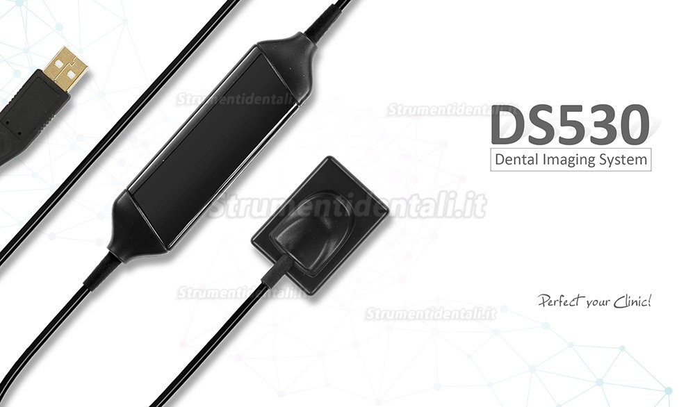 Runyes DS530 Dentale rilevatori a pannello piatto intraorali (Sensori endorali)