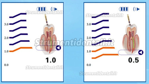 ZP® SR-100 Rilevatore apicale in Colour