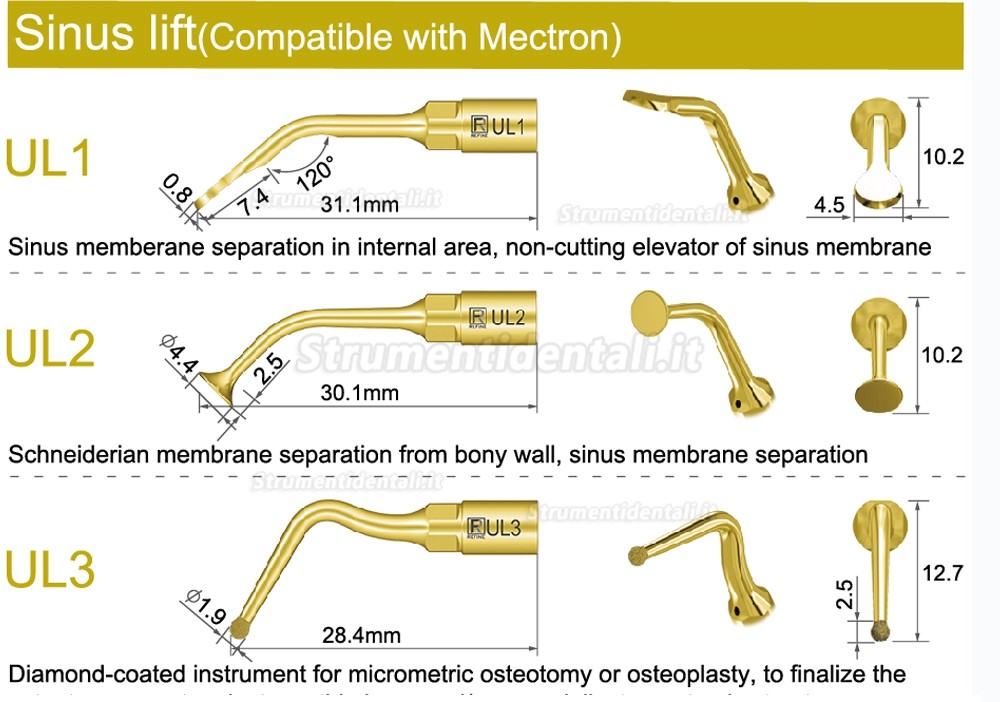 1Pz Inserti per il rialzo laterale del seno mascellare UL1 UL2 UL3 UL4 UL5 compatible con Mectron, Silfradent, Dmetec e Woodpecker