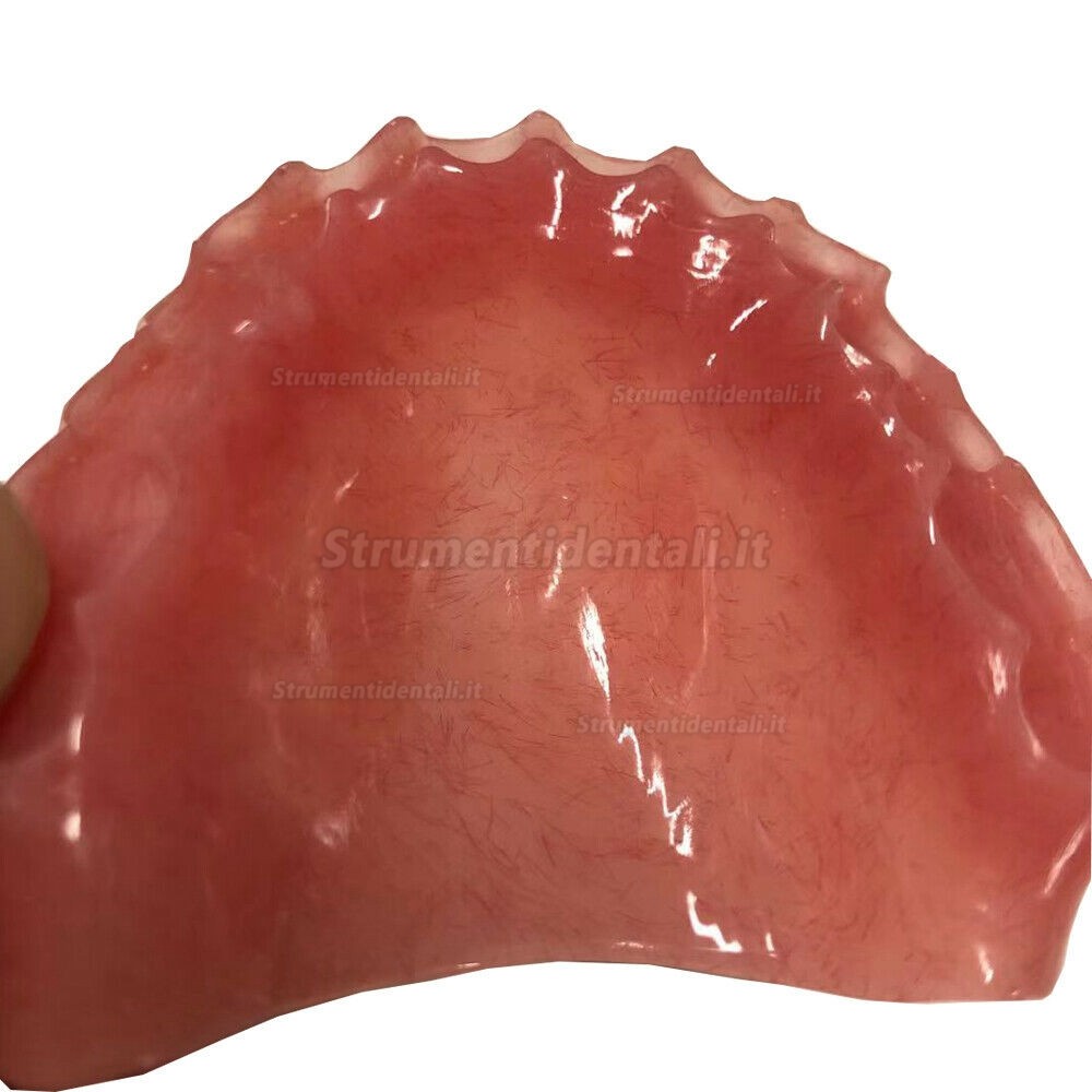 5 pezzi dischi in pmma 98mm dentale con iniettato di sangue (fresatrice del sistema CAD/CAM Wieland)