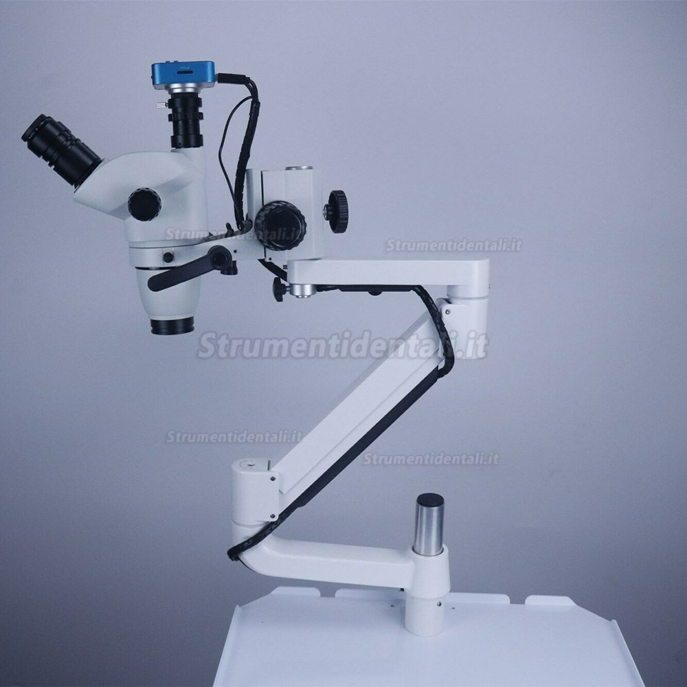 Microscopio operatorio per terapia canalare dentale con fotocamera e 5w lampada led