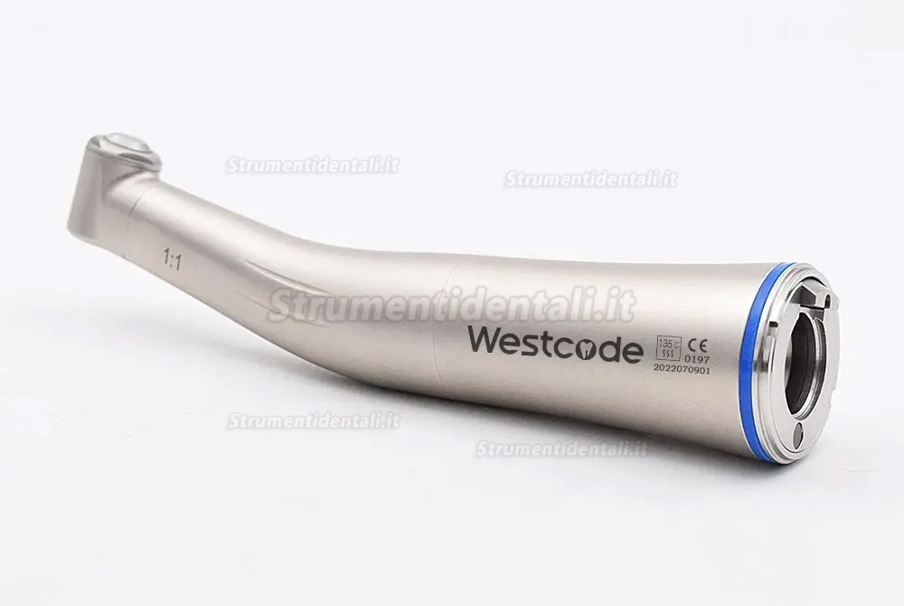 Contrangolo blu Westcode 1:1 con acqua nebulizzata interna e illuminazione a fibre ottiche Contrangolo blu Westcode 1:1 con acqua nebulizzata interna e illuminazione a fibre ottiche