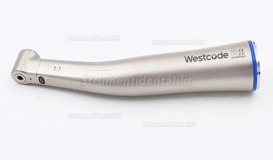 Contrangolo blu Westcode 1:1 con acqua nebulizzata interna e illuminazione a fibre ottiche Contrangolo blu Westcode 1:1 con acqua nebulizzata interna e illuminazione a fibre ottiche