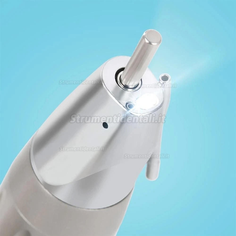 Manipolo dritto in fibra ottica dentale Westcode (tipo E, alimentazione idrica esterna) Manipolo dritto in fibra ottica dentale Westcode (tipo E, alimentazione idrica esterna)