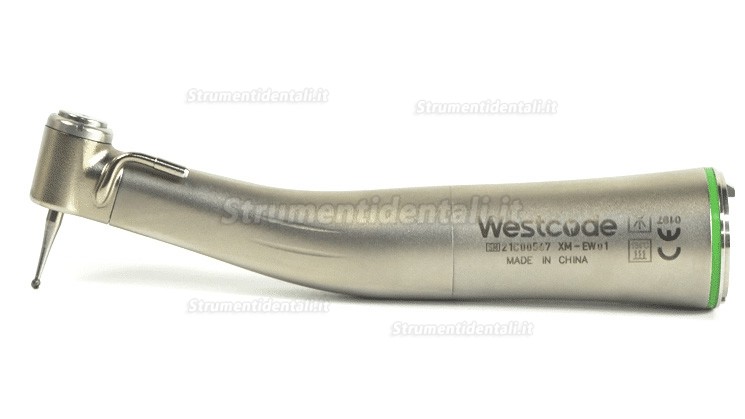 Westcode XM-EW01 20:1 Contrangolo verde con fibra ottica (per chirurgia implantare dentale) Westcode XM-EW01 20:1 Contrangolo verde con fibra ottica (per chirurgia implantare dentale)