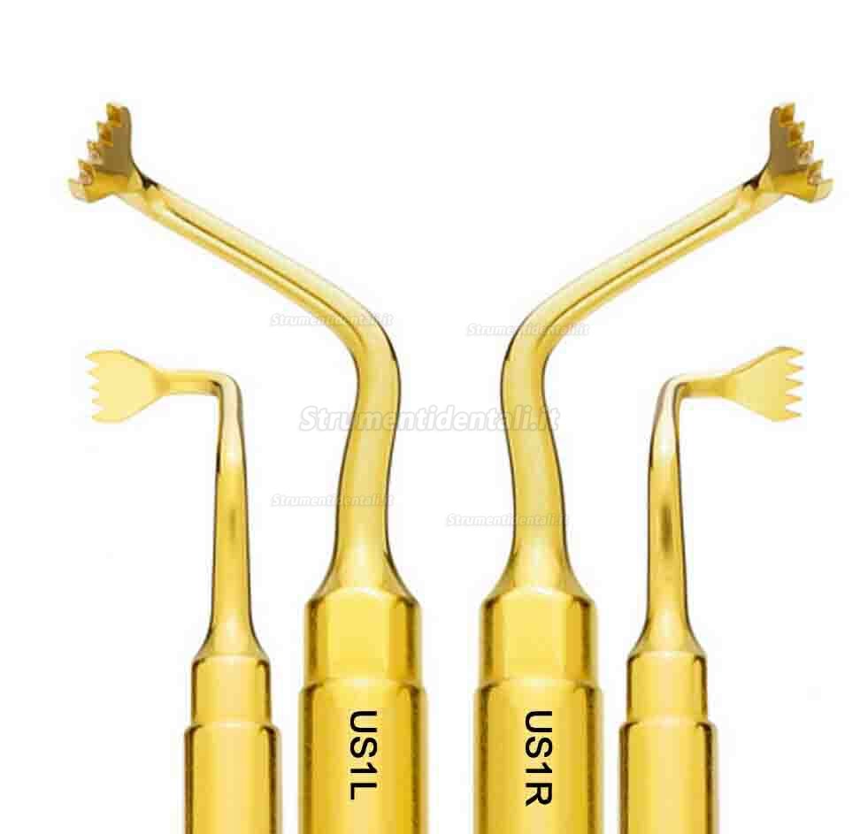Inserto per chirurgia ossea ad ultrasuoni dentali Woodpecker US1L US1R compatibile EMS Mectron