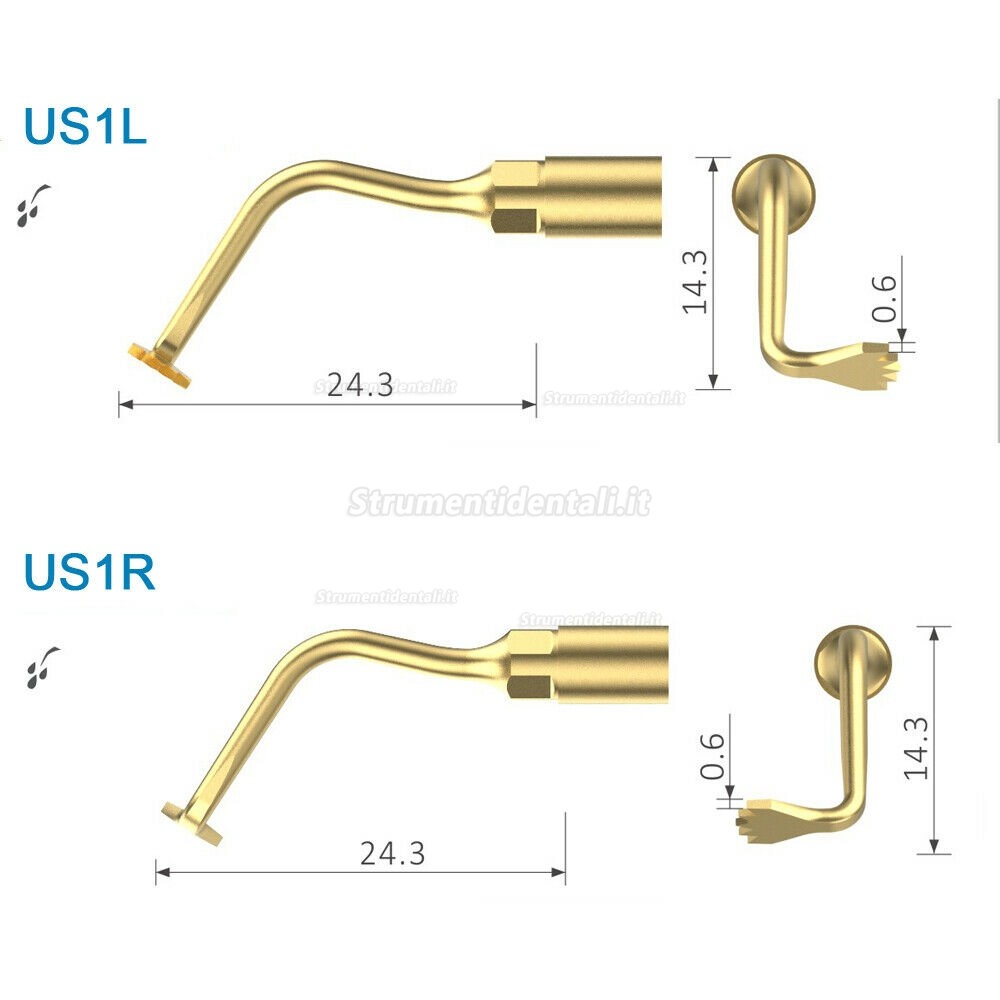 Inserto per chirurgia ossea ad ultrasuoni dentali Woodpecker US1L US1R compatibile EMS Mectron