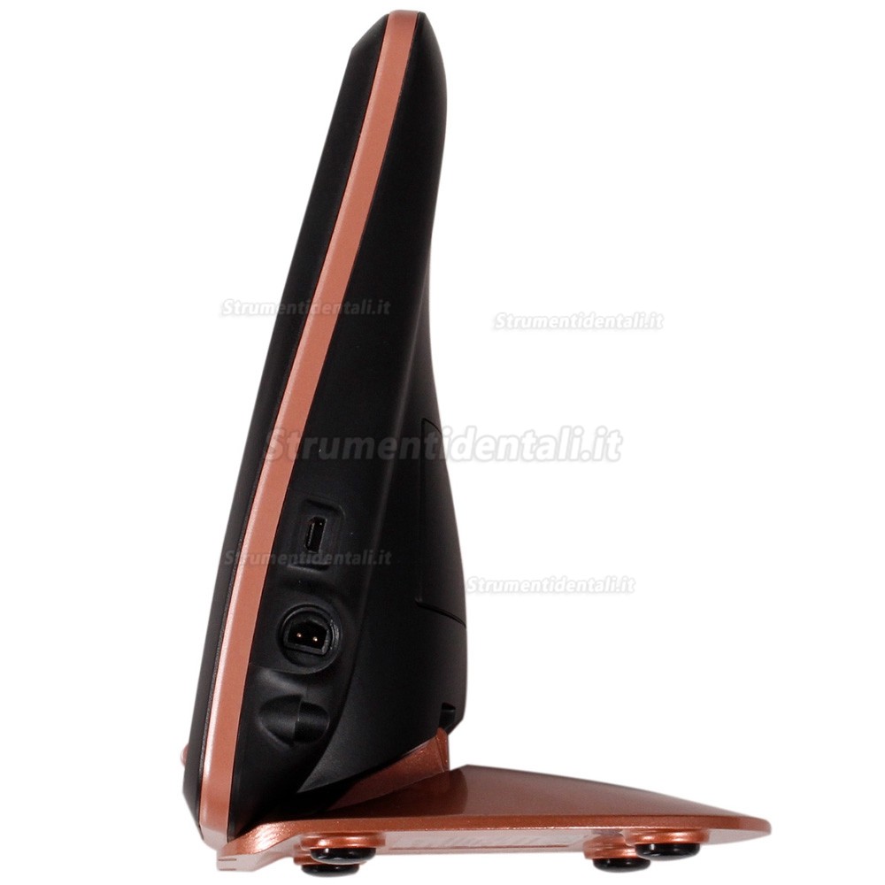 Rilevatore apicale Woodpecker Woodpex V Rilevatore apicale Woodpecker Woodpex V