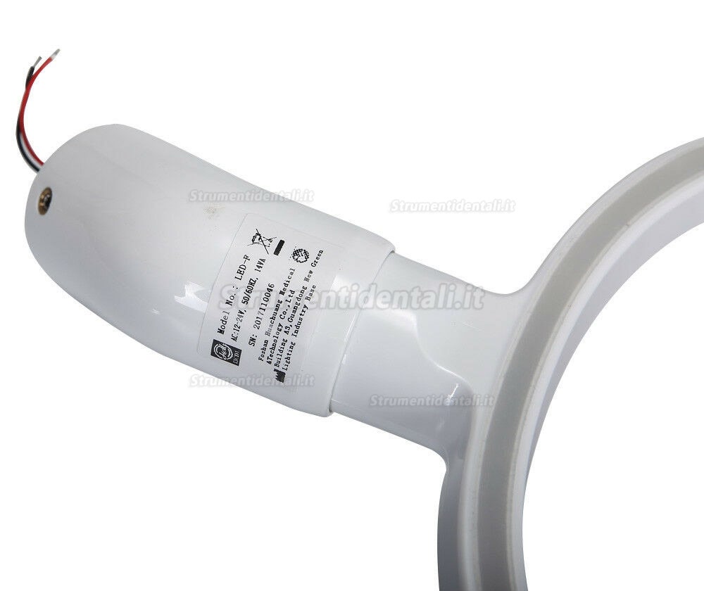 Azdent Dental Chirurgico LED Faro Fascia Lenti di ingrandimento