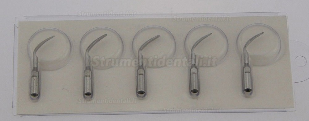 1 Pezzi originale Baiyu B5 scaler ultrasonico PIEZOELECTRICO scaler ad ultrasuoni manipolo autoclavabile 1 Pezzi originale Baiyu B5 scaler ultrasonico PIEZOELECTRICO scaler ad ultrasuoni manipolo autoclavabile