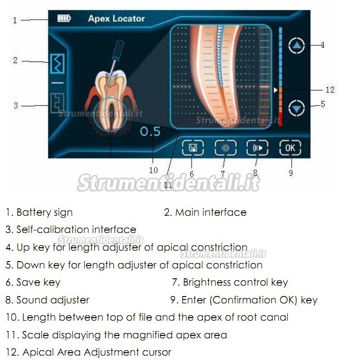 Denjoy® IFINDER Rilevatore apicale Touch Screen