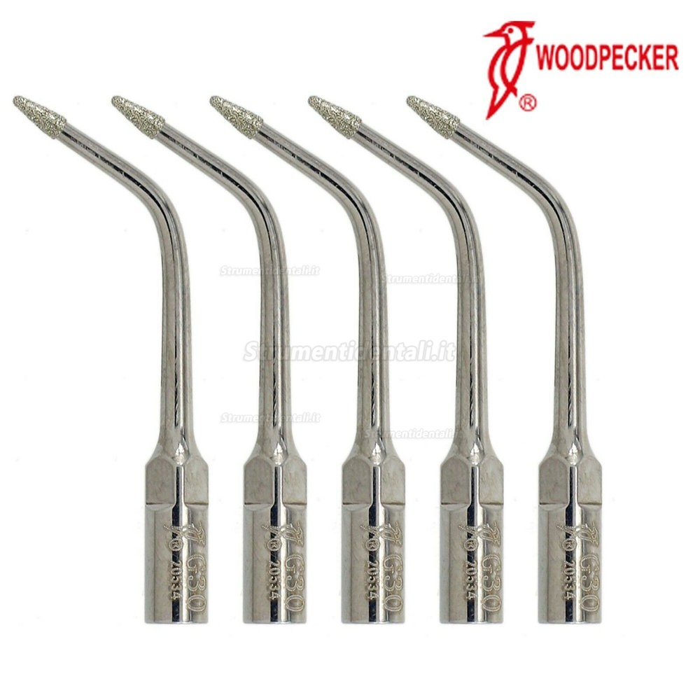 5 Pz Woodpecker Inserti piezo /punte ablatore G30 per preparare fessure (compatibile con EMS)